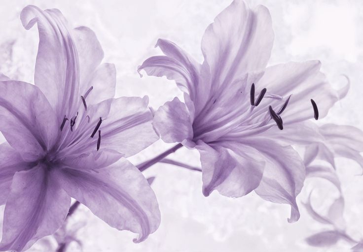 Artwork Flower